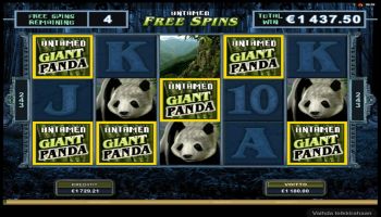 Nurmi ilmoitti 22.5.2017 voitosta Untamed Giant Pandassa