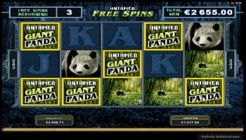 Nurmi ilmoitti 22.5.2017 voitosta Untamed Giant Pandassa