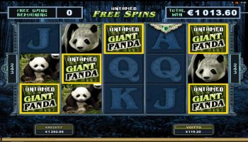 Nurmi ilmoitti 20.8.2017 voitosta Untamed Giant Pandassa